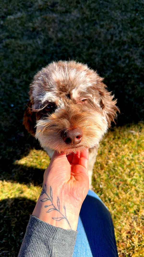 abigailwhhitee image ~ Altpins