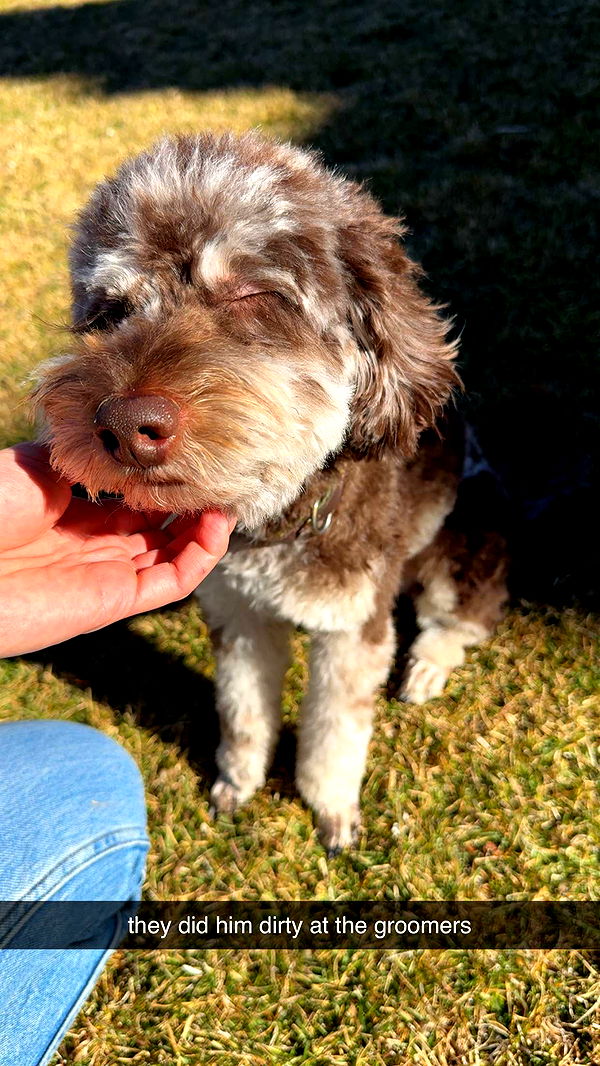 abigailwhhitee image ~ Altpins