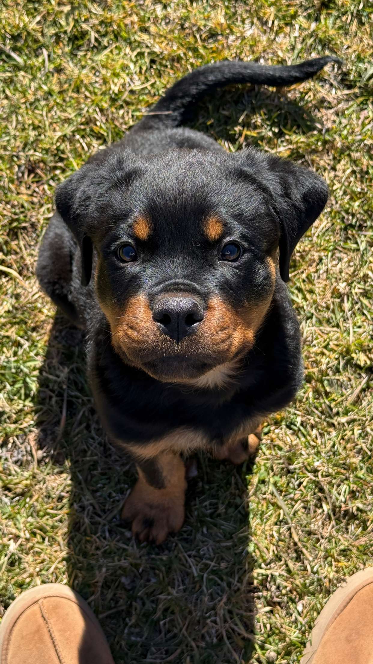 abigailwhhitee snapchat image archive image