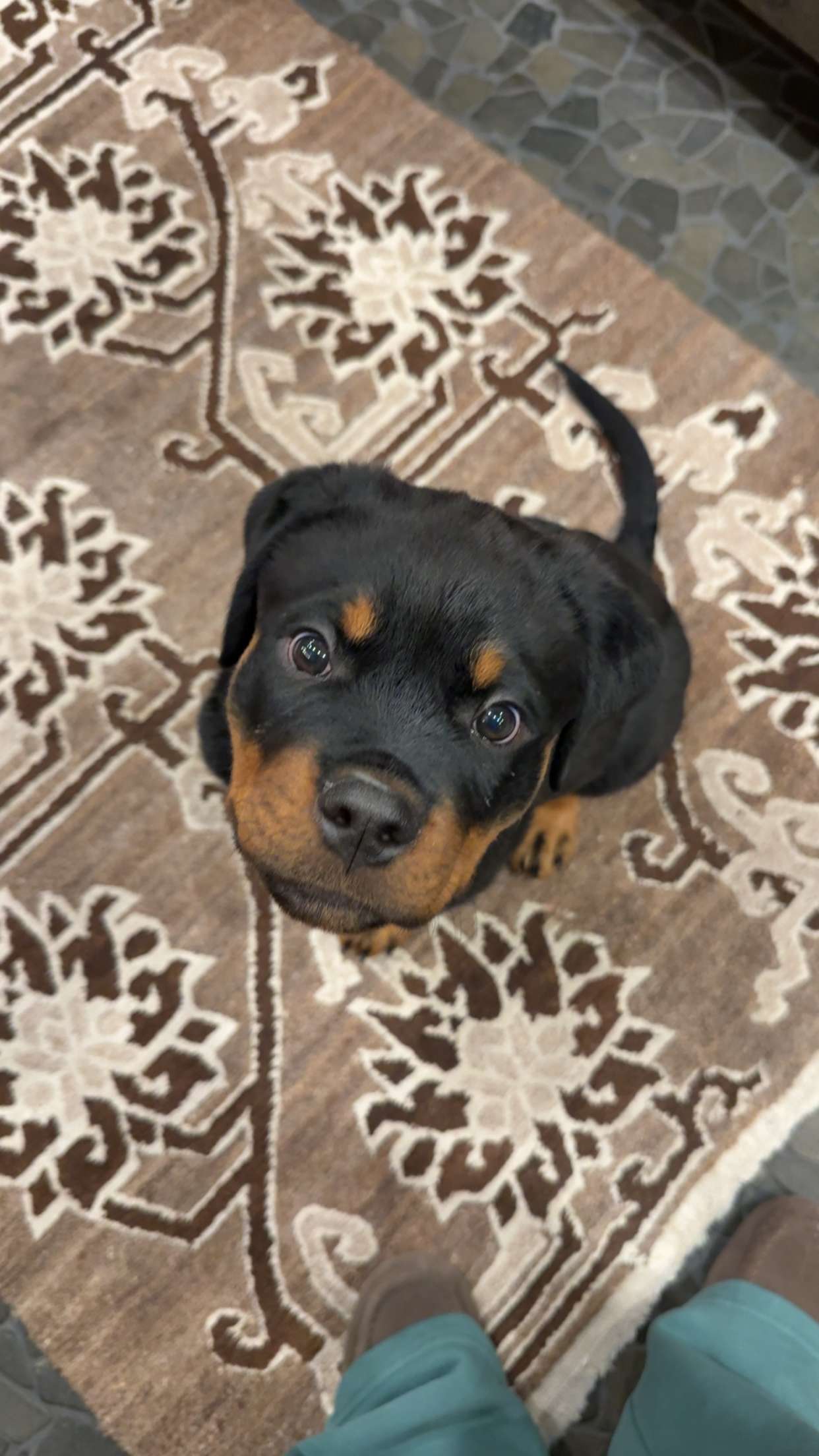 abigailwhhitee snapchat image archive image