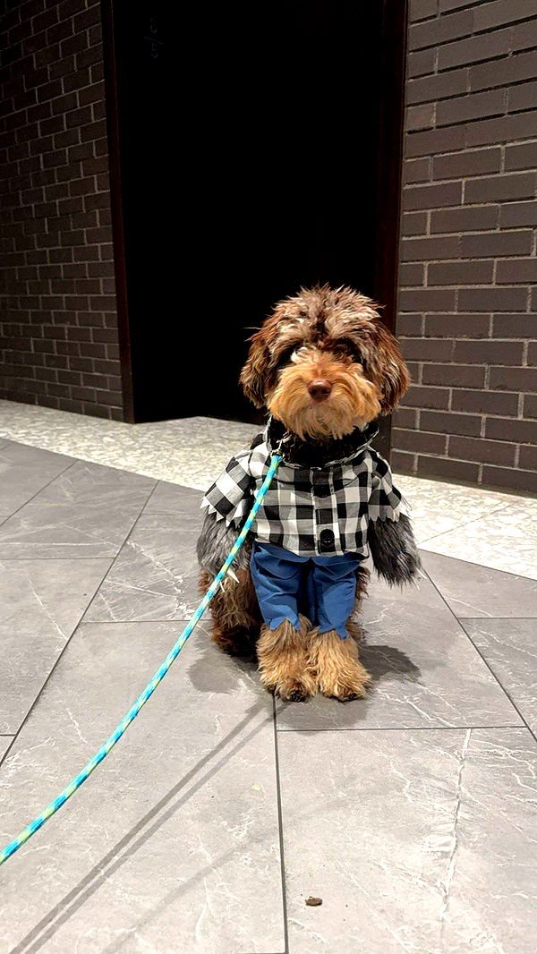 abigailwhhitee image ~ Altpins