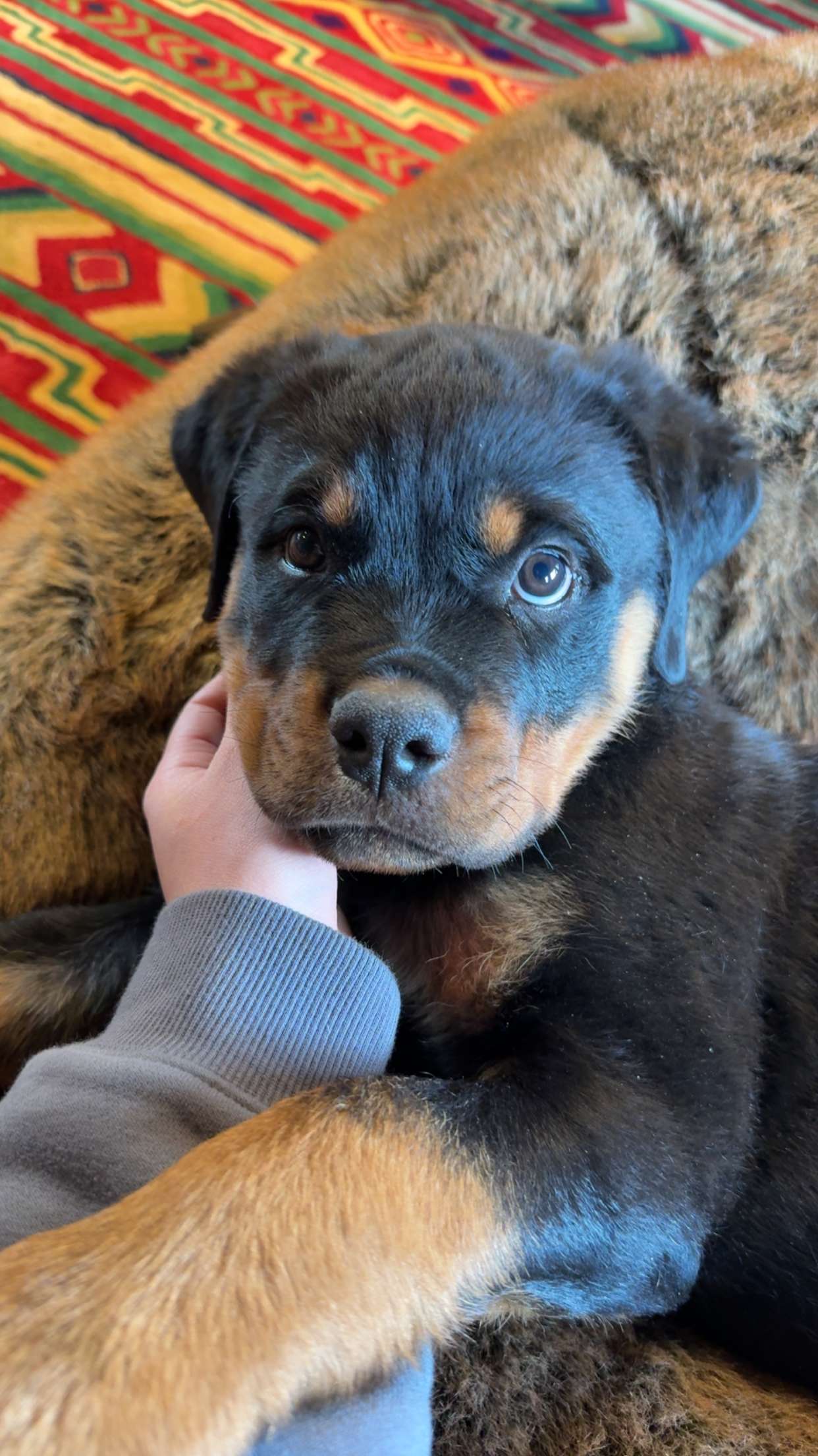 abigailwhhitee snapchat image archive image