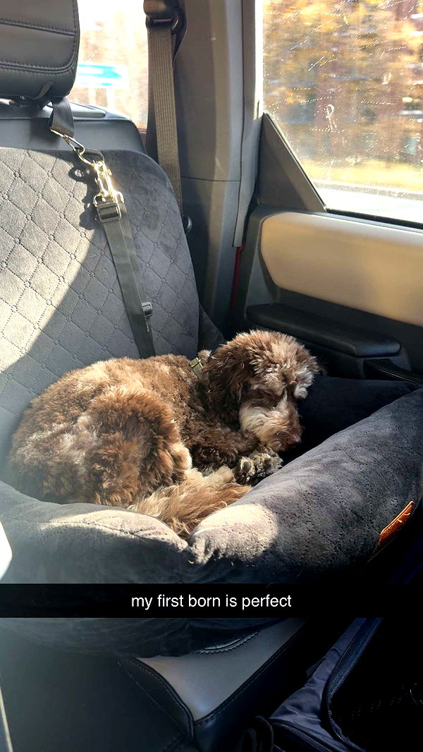 abigailwhhitee image ~ Altpins