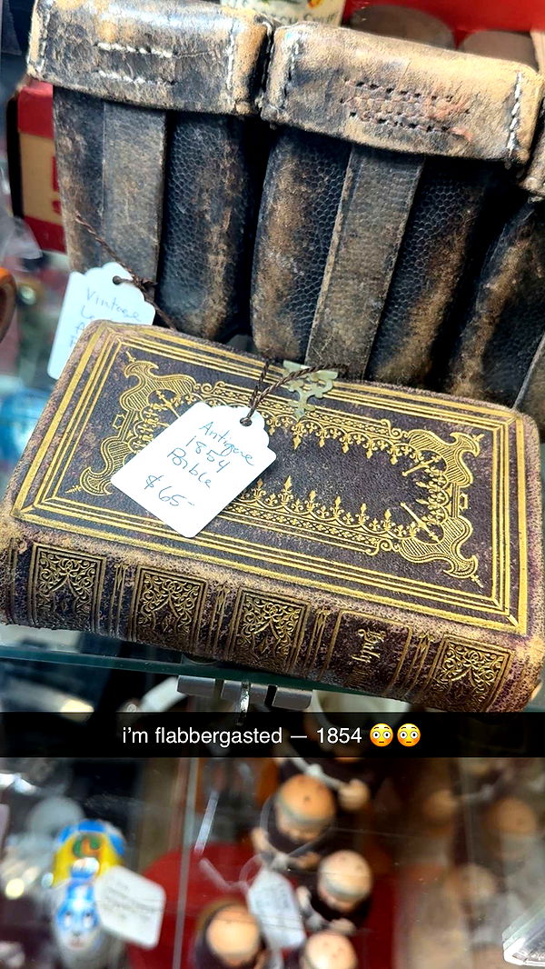 abigailwhhitee image ~ Altpins