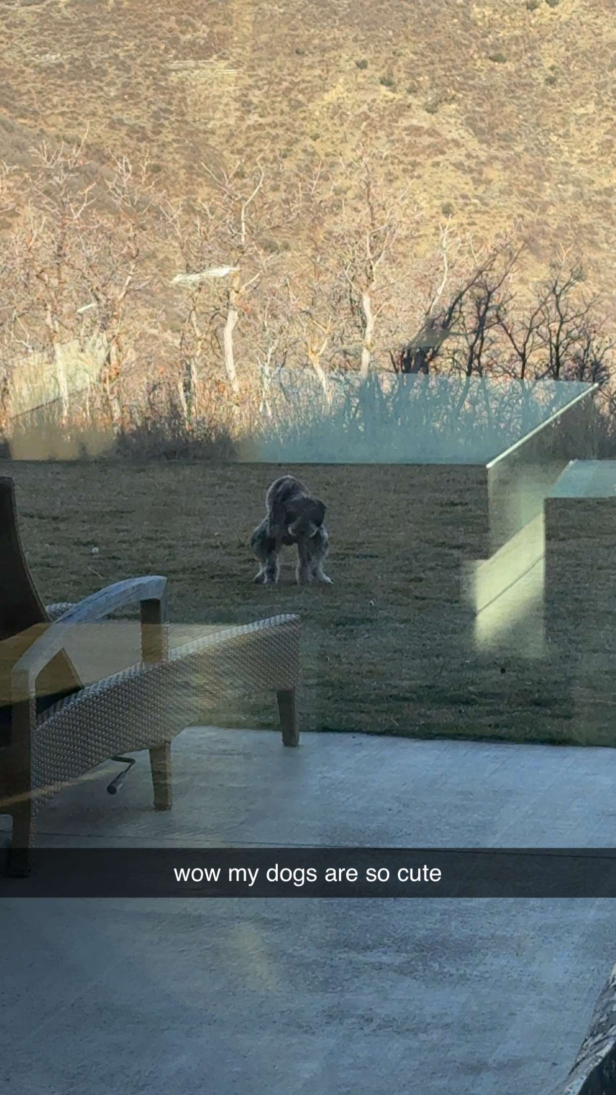 abigailwhhitee snapchat image archive image