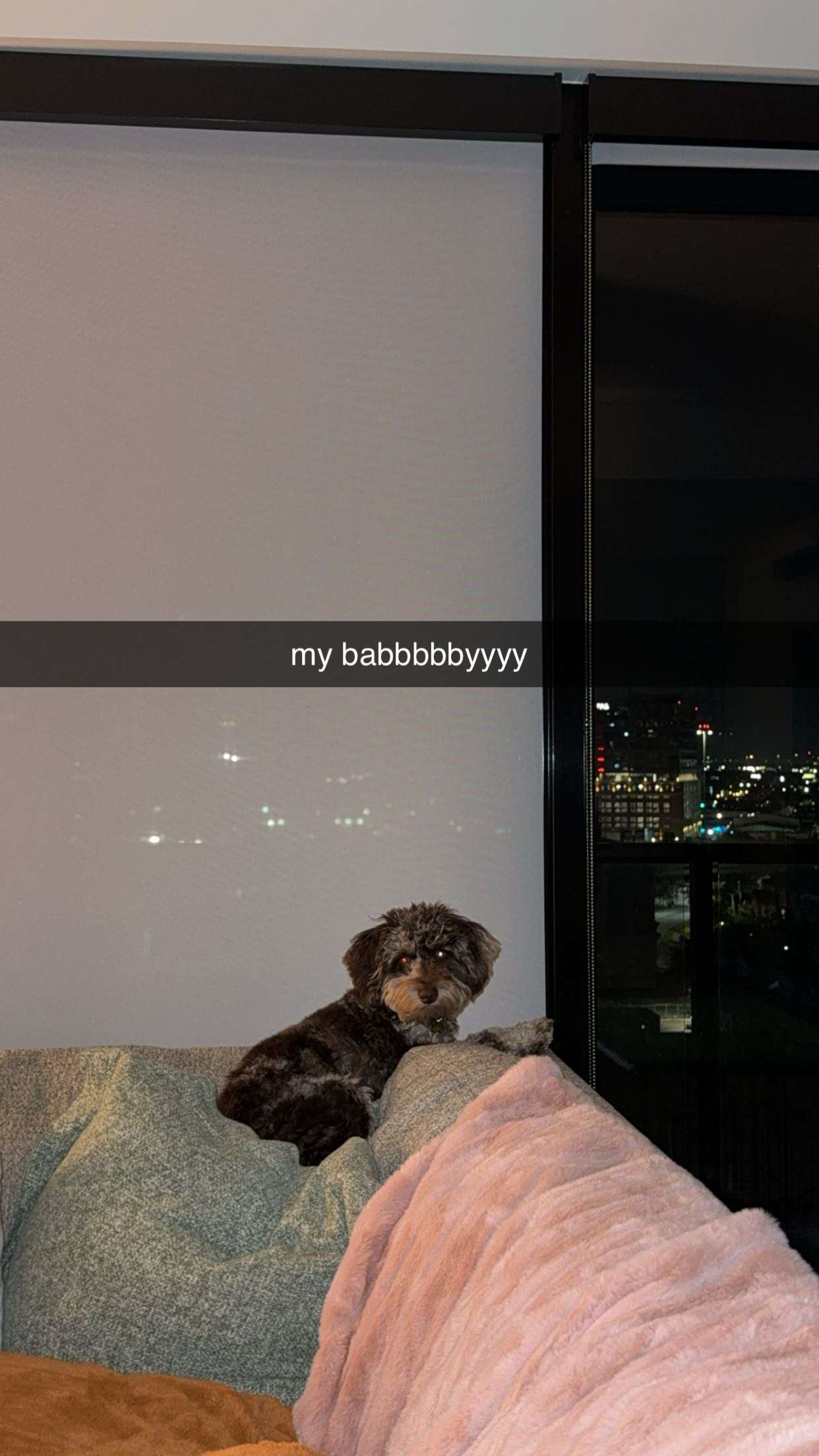 abigailwhhitee snapchat image archive image