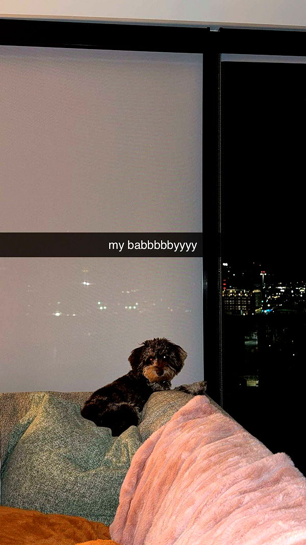 abigailwhhitee image ~ Altpins