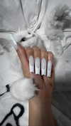 adee.ah Altpins Profile Picture