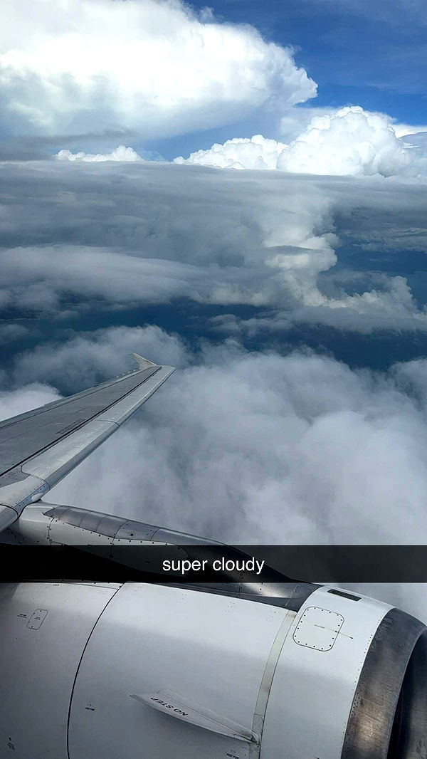 aimeejaiii image ~ Altpins