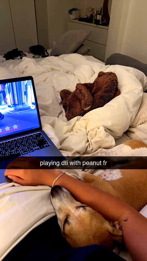 aimeejaiii image ~ Altpins