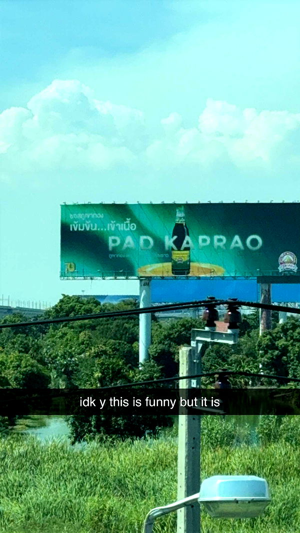 aimeejaiii image ~ Altpins