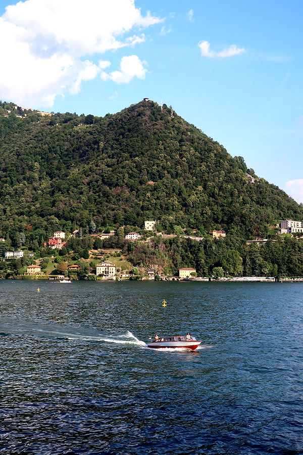 aimeejaiii image ~ Altpins