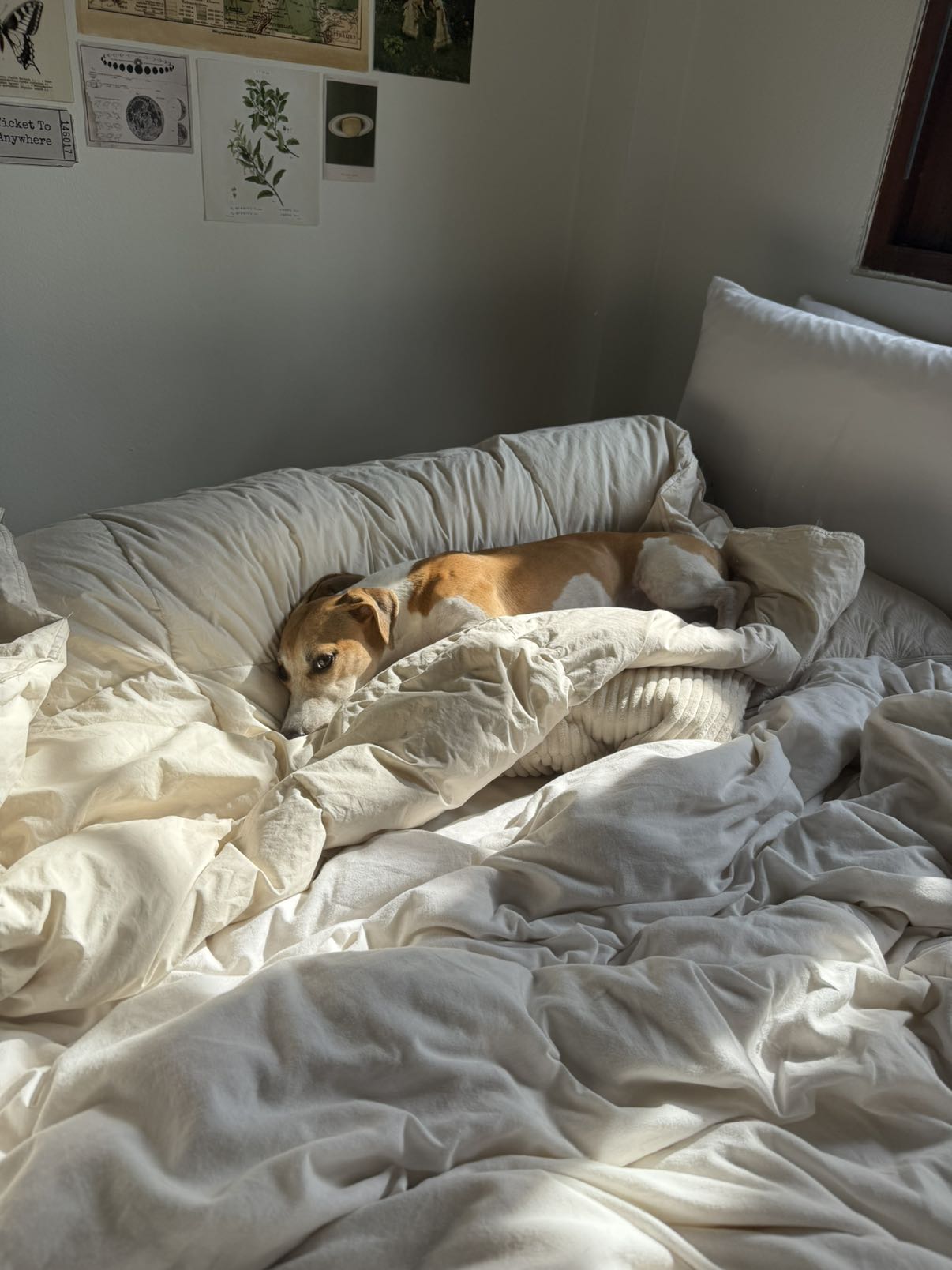 aimeejaiii snapchat image archive image