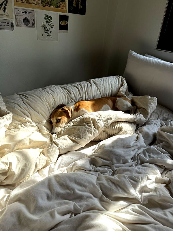 aimeejaiii image ~ Altpins