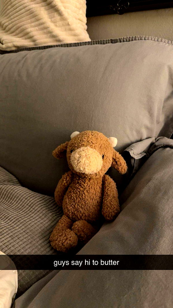 aimeejaiii image ~ Altpins