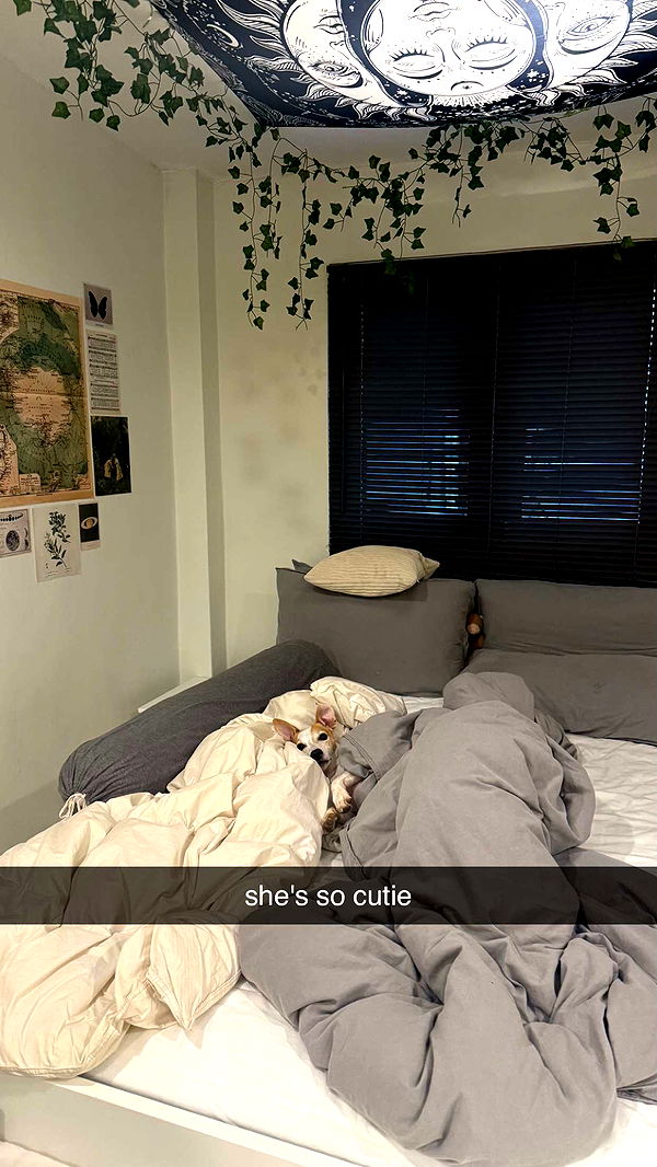 aimeejaiii image ~ Altpins