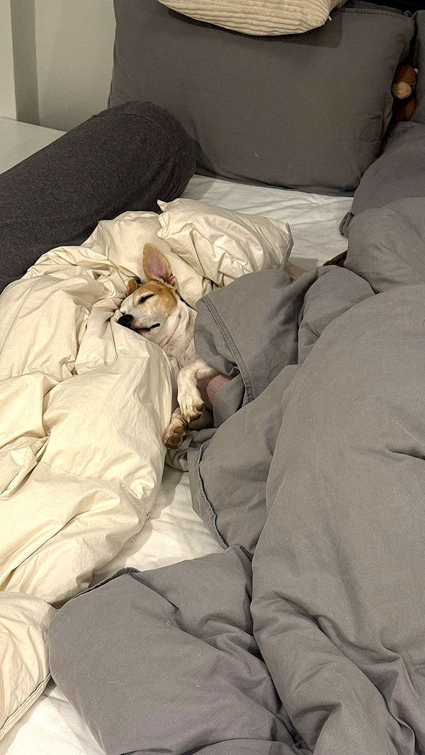 aimeejaiii image ~ Altpins