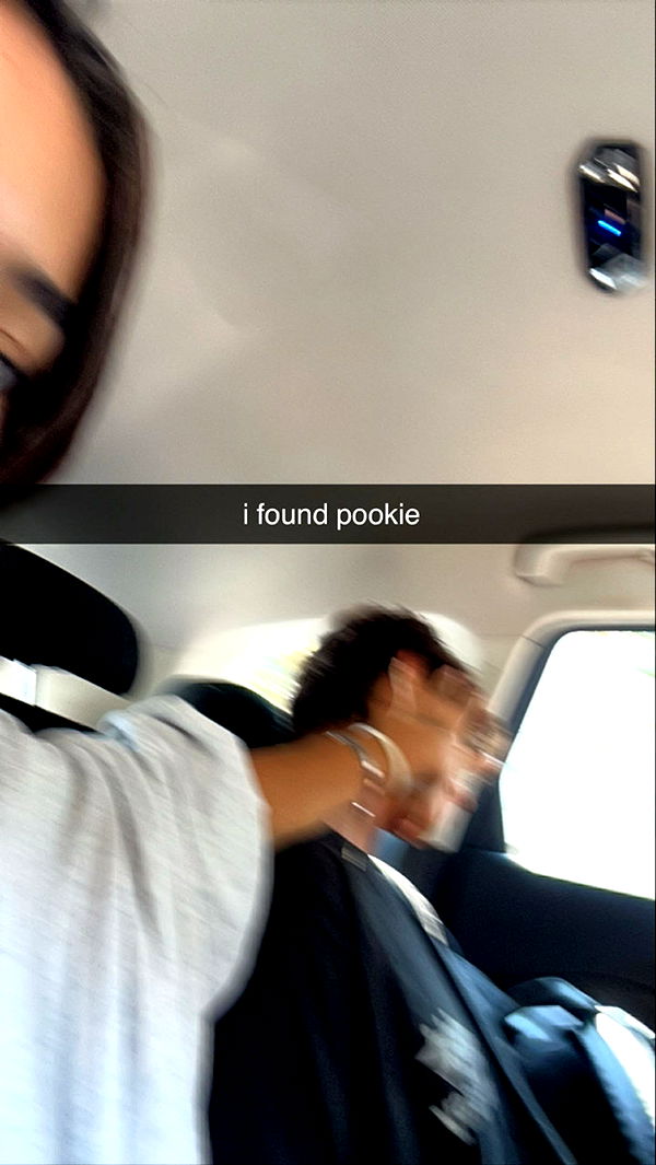 aimeejaiii image ~ Altpins