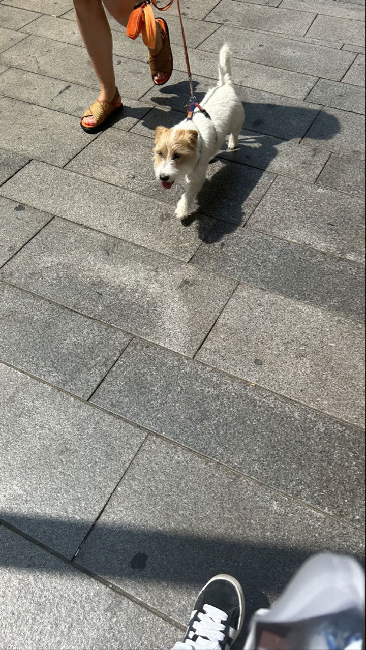 aimeejaiii snapchat image archive image