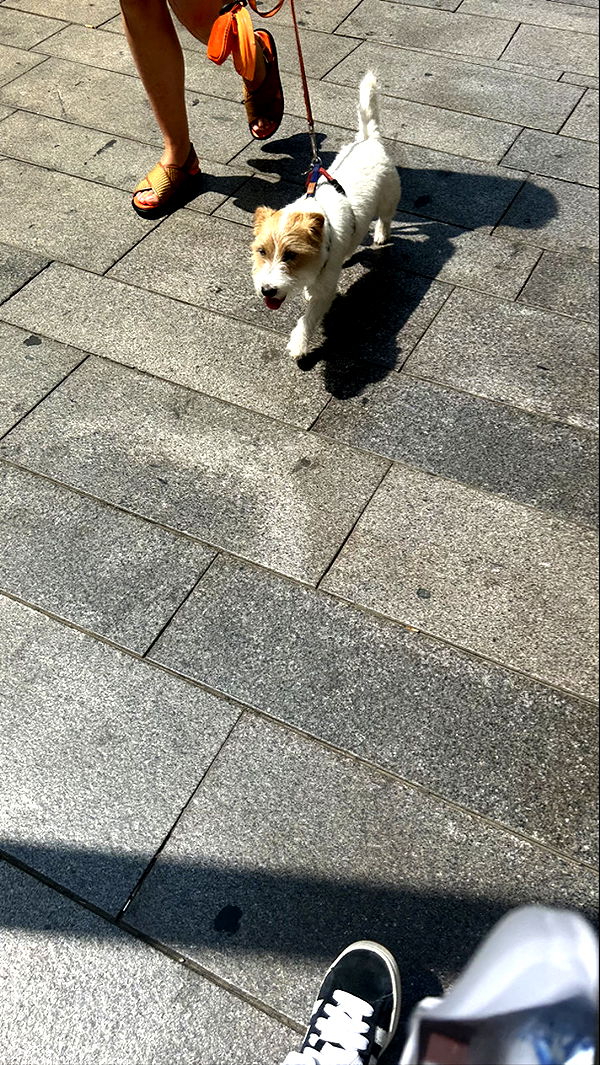 aimeejaiii image ~ Altpins