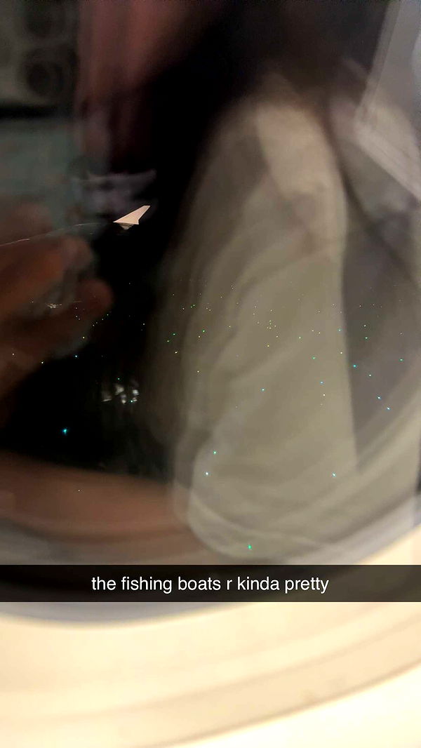 aimeejaiii image ~ Altpins