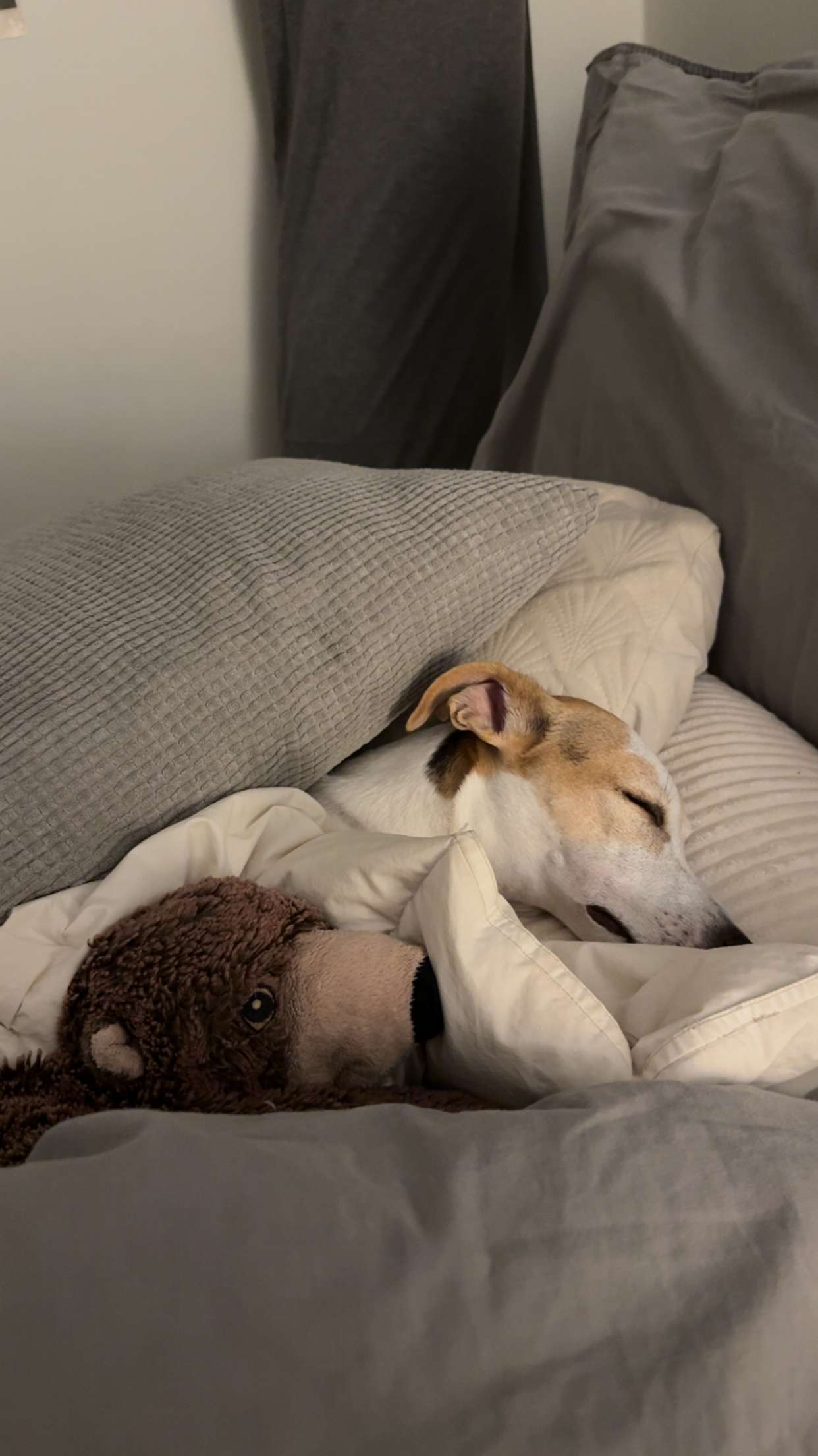 aimeejaiii snapchat image archive image