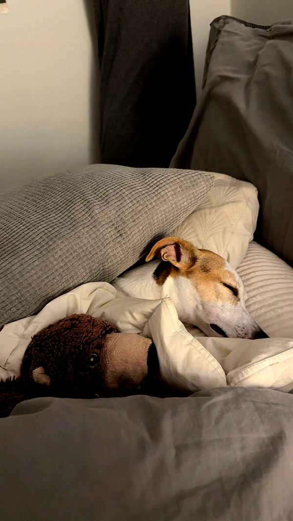 aimeejaiii image ~ Altpins