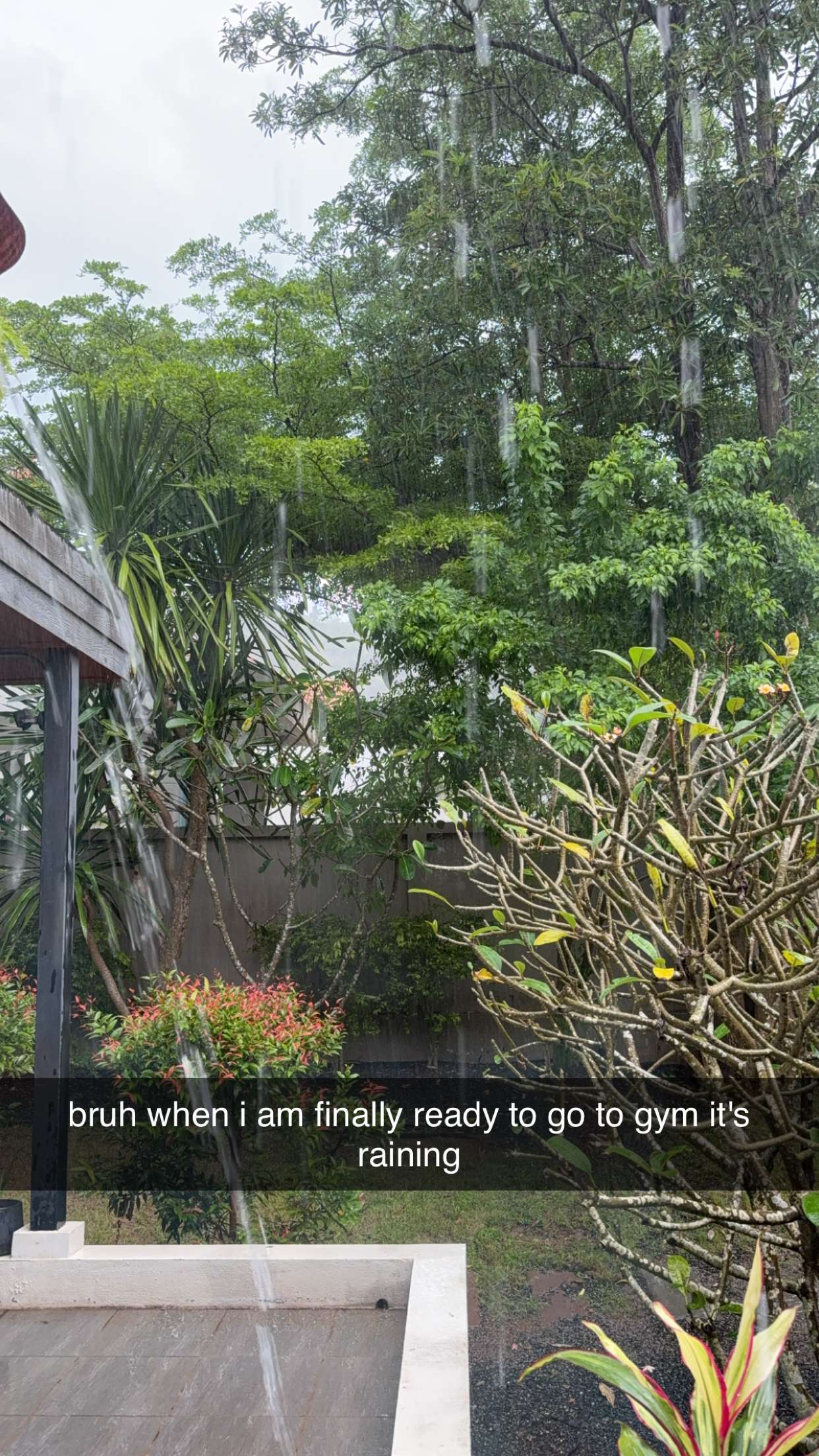 aimeejaiii snapchat image archive image