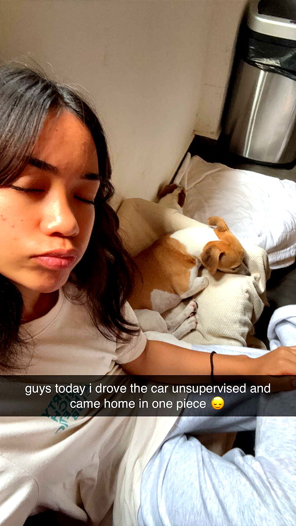 aimeejaiii image ~ Altpins