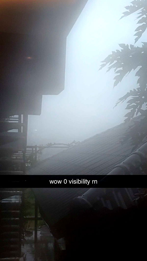 aimeejaiii image ~ Altpins