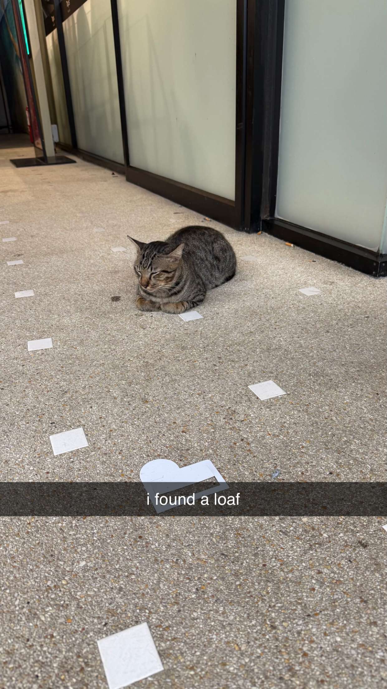 aimeejaiii snapchat image archive image