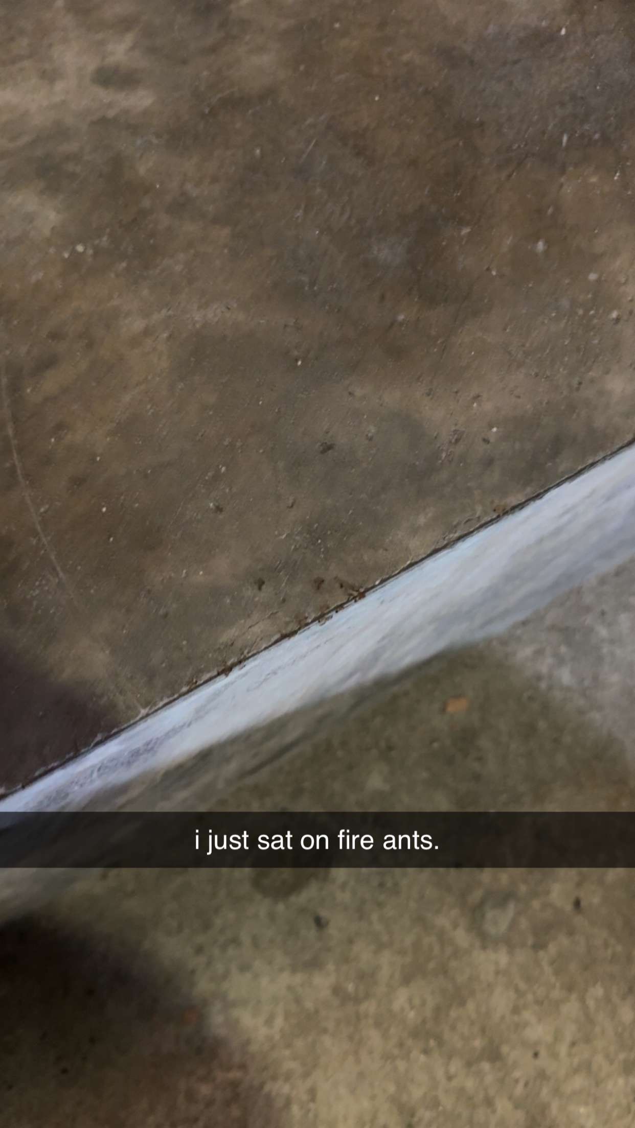 aimeejaiii snapchat image archive image