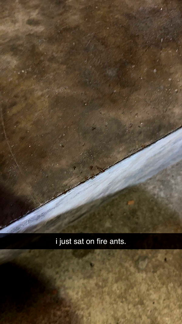 aimeejaiii image ~ Altpins