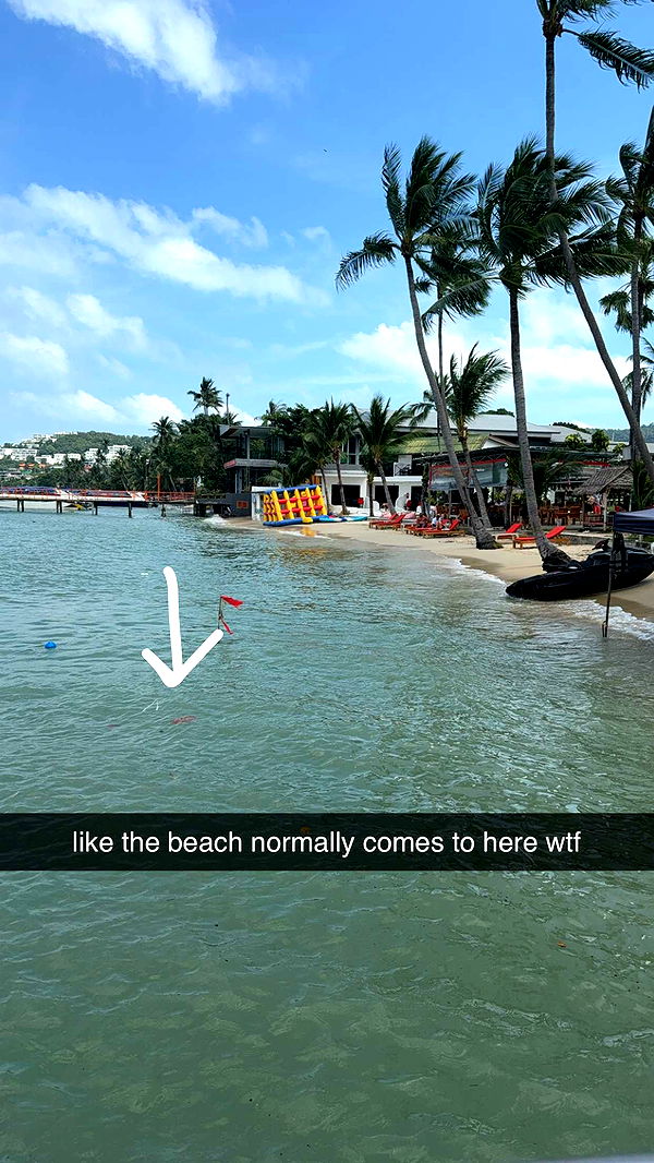 aimeejaiii image ~ Altpins