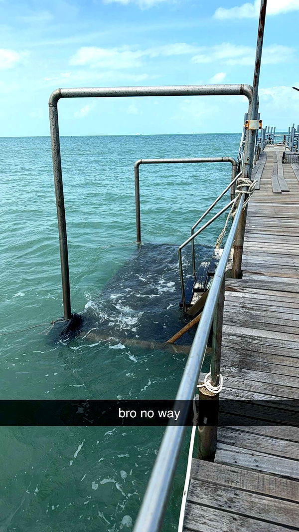 aimeejaiii image ~ Altpins