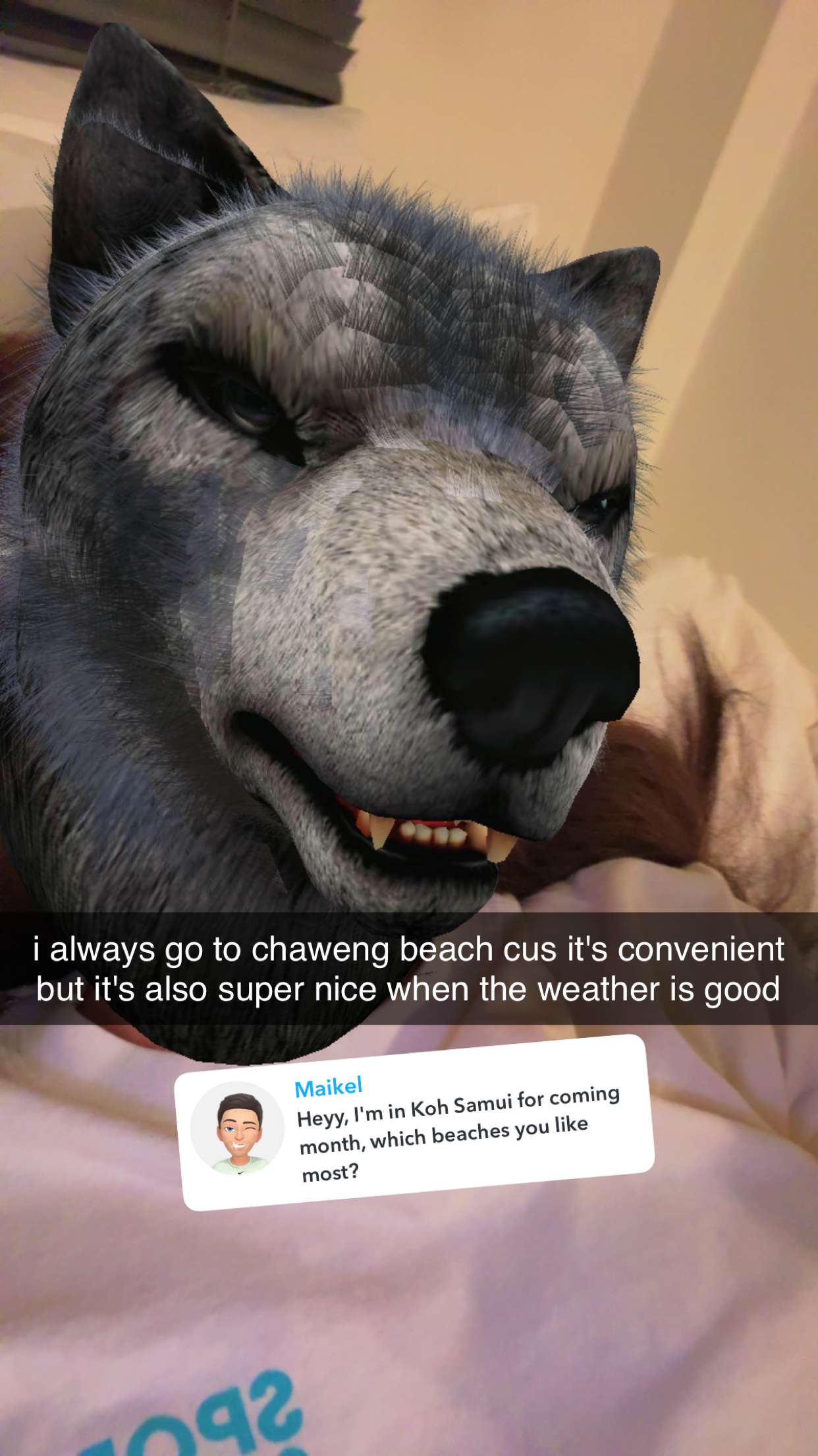 aimeejaiii snapchat image archive image