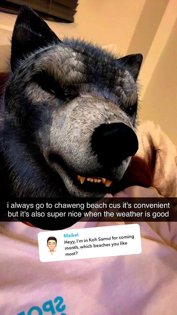 aimeejaiii image ~ Altpins