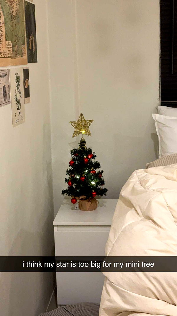 aimeejaiii image ~ Altpins