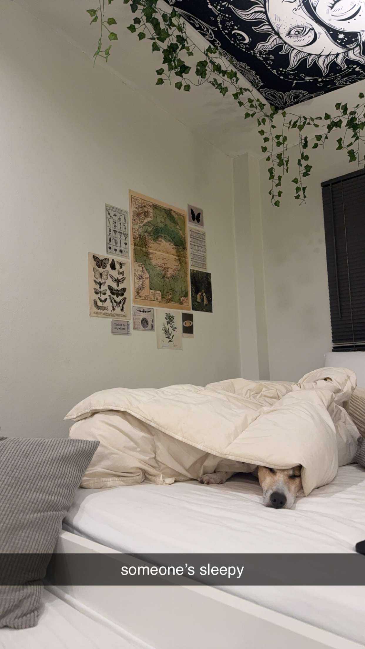 aimeejaiii snapchat image archive image