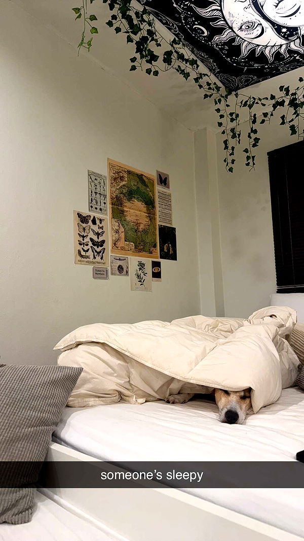 aimeejaiii image ~ Altpins