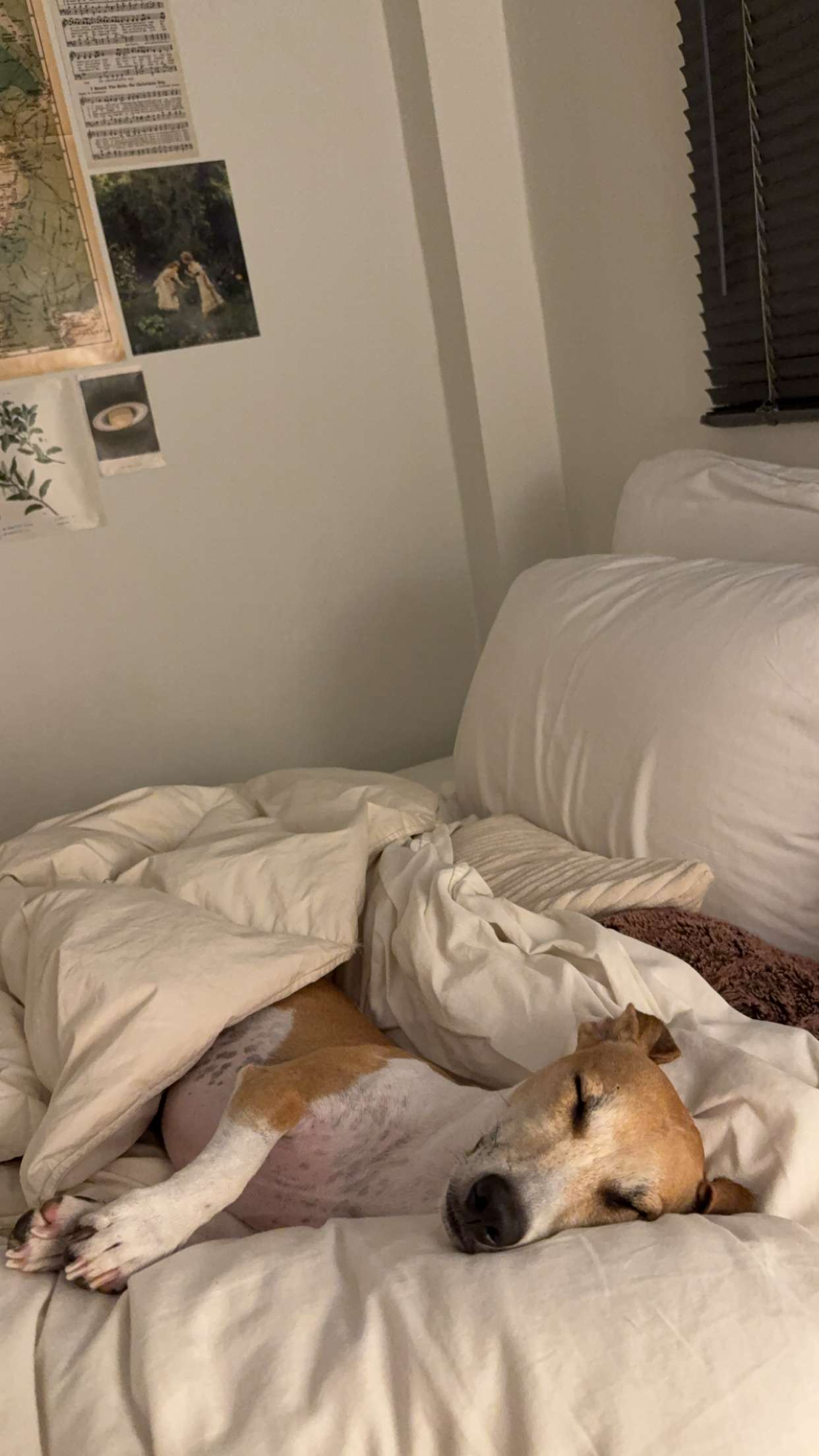 aimeejaiii snapchat image archive image