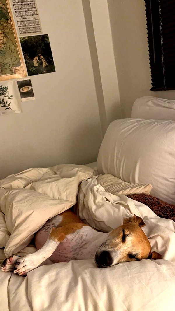 aimeejaiii image ~ Altpins