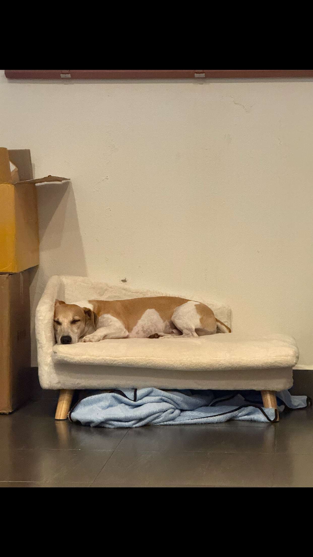 aimeejaiii snapchat image archive image