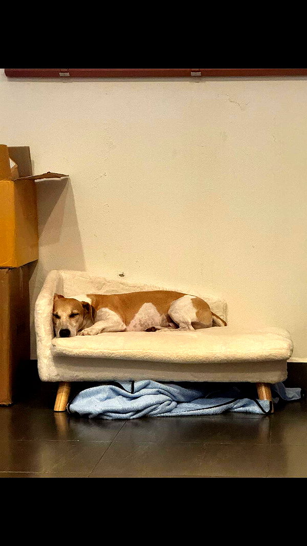 aimeejaiii image ~ Altpins