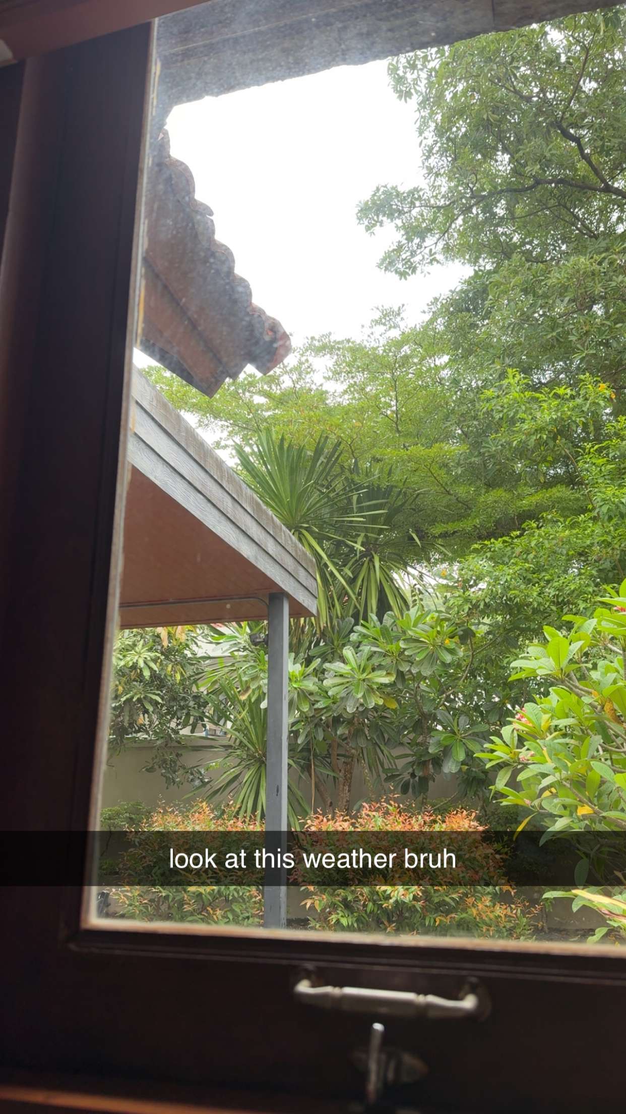 aimeejaiii snapchat image archive image