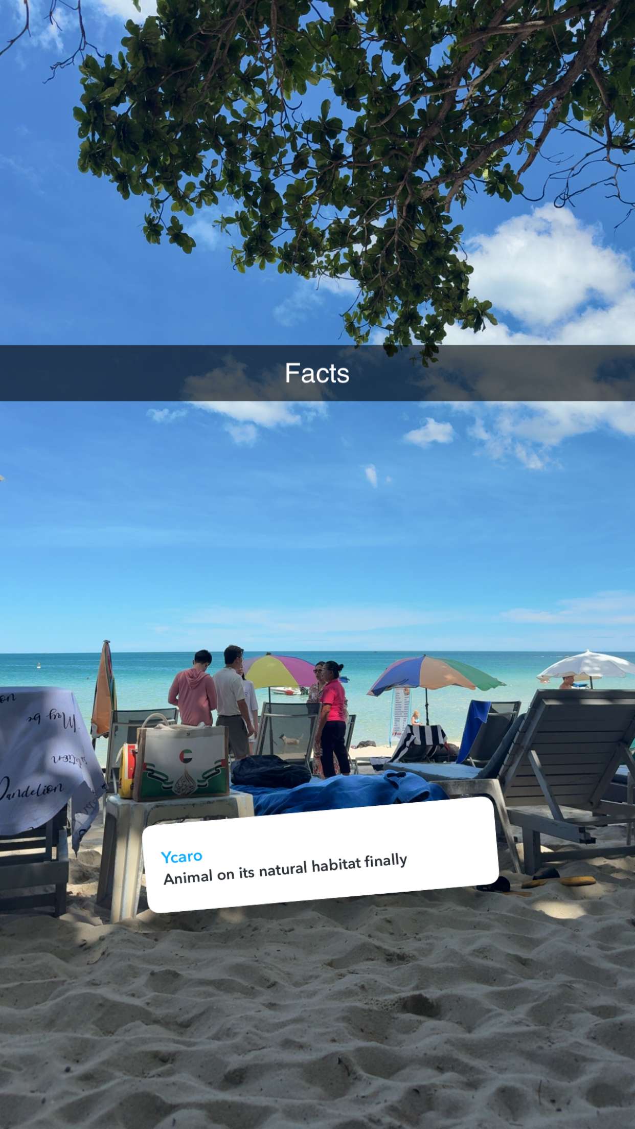 aimeejaiii snapchat image archive image