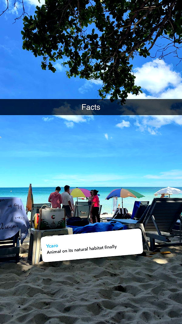 aimeejaiii image ~ Altpins