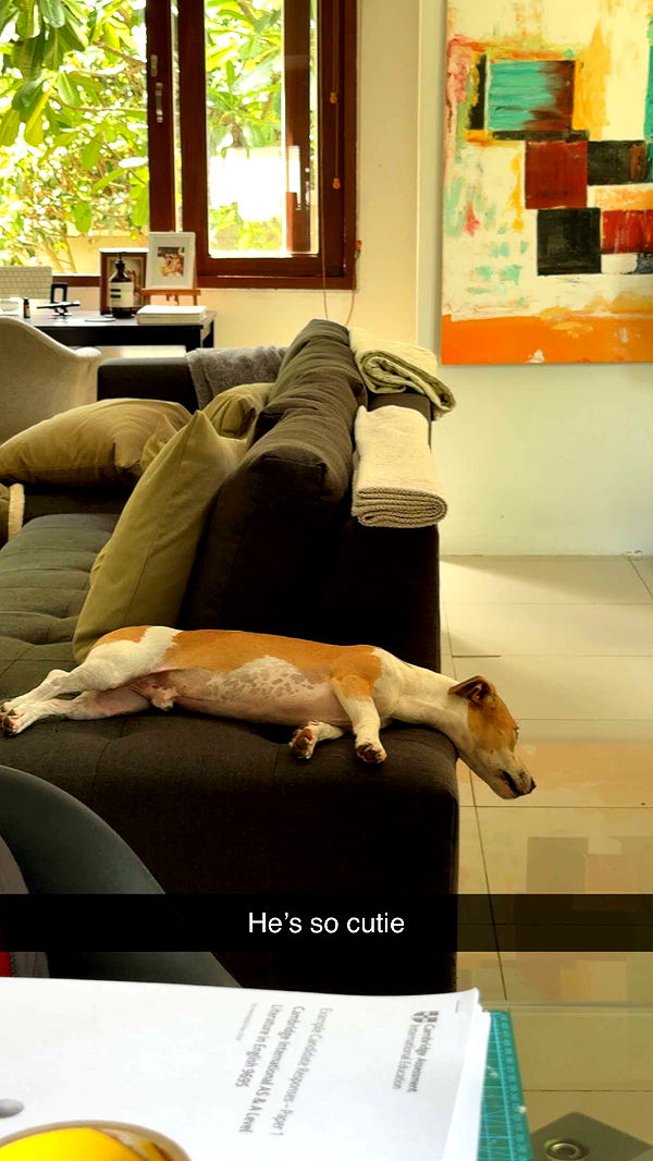 aimeejaiii image ~ Altpins