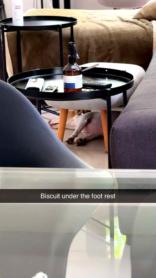 aimeejaiii image ~ Altpins