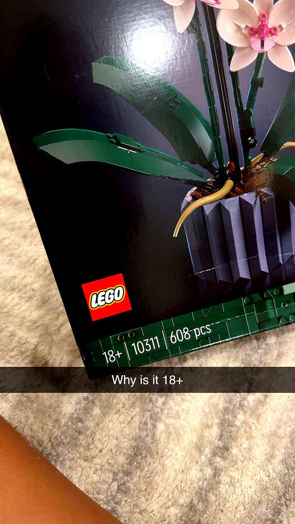 aimeejaiii image ~ Altpins